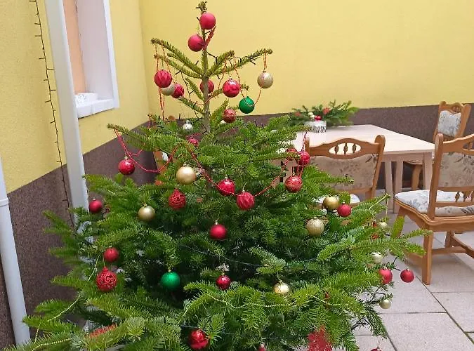 Pensjonat Ruyi -csaladi Haz 3*
